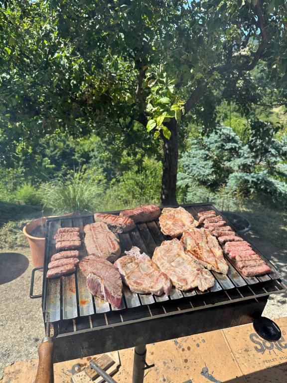 Roštilj u prirodi Villa Sandra